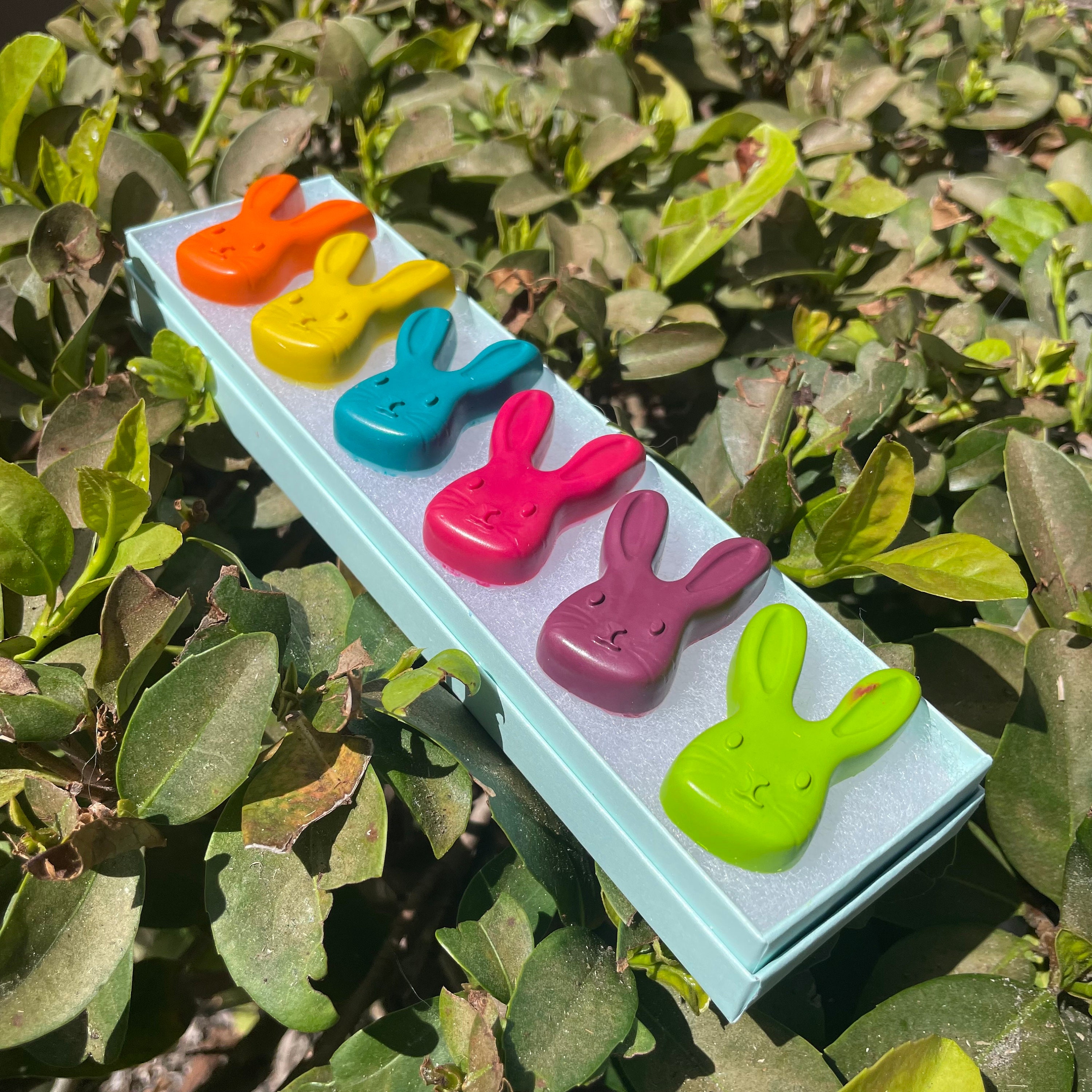 Crayons for Easter Bunny Crayon Kid Basket Stuffer Kid Etsy