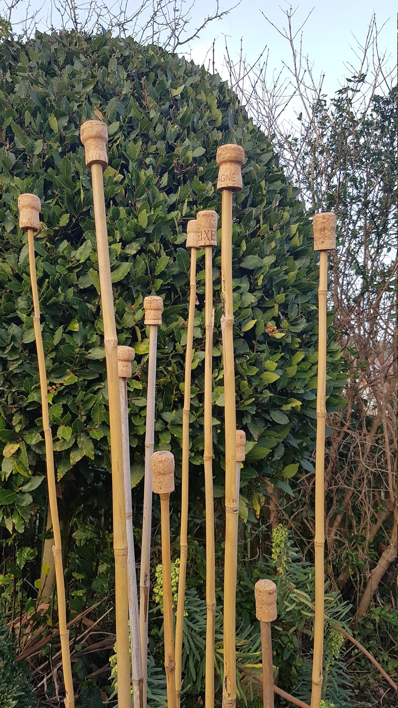 12 Cork Garden Cane Toppers Etsy