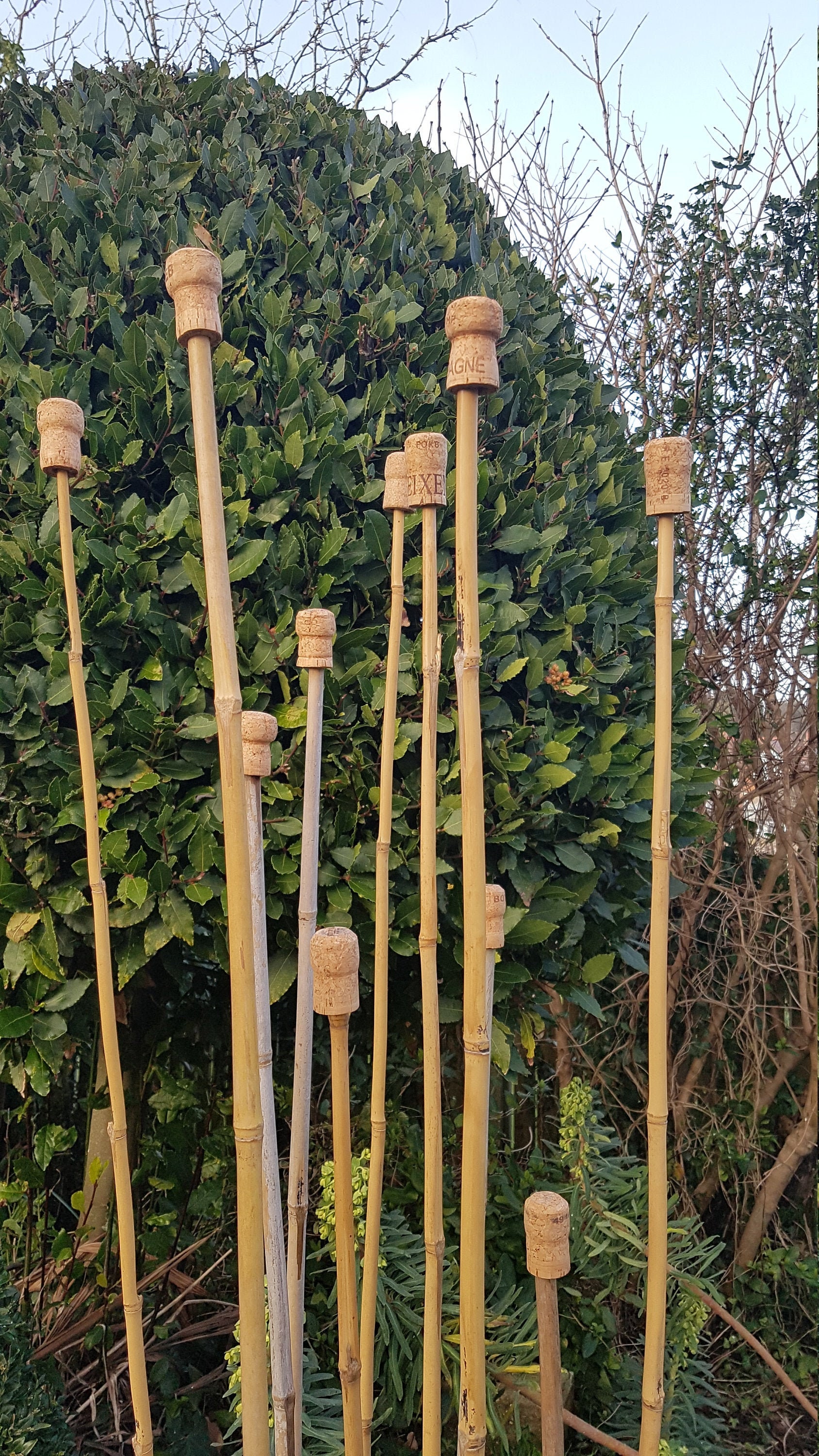 12 Cork Garden Cane Toppers Etsy UK