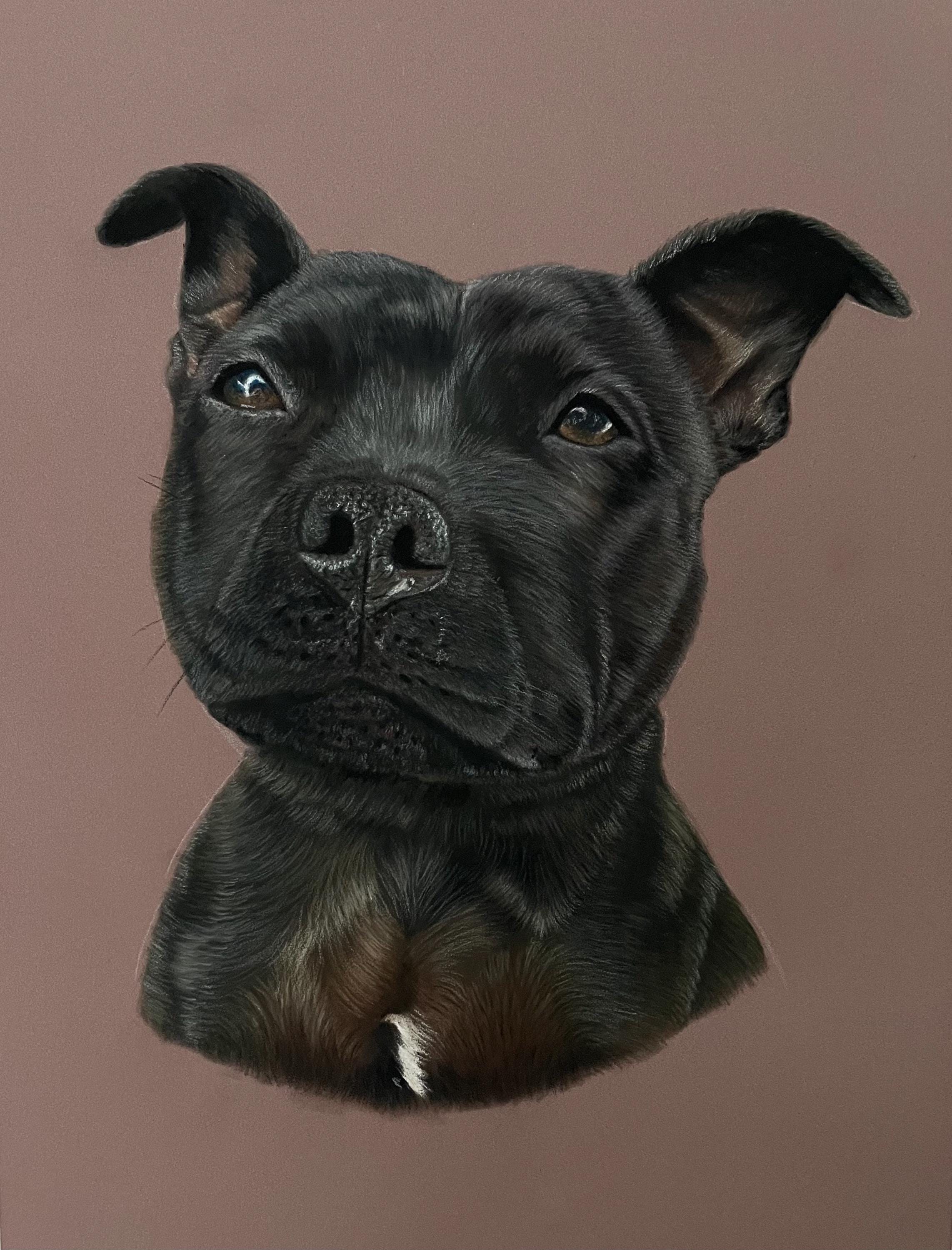 Custom Hand Drawn Pet Portrait | Dog Cat Memorial Gift - Etsy UK