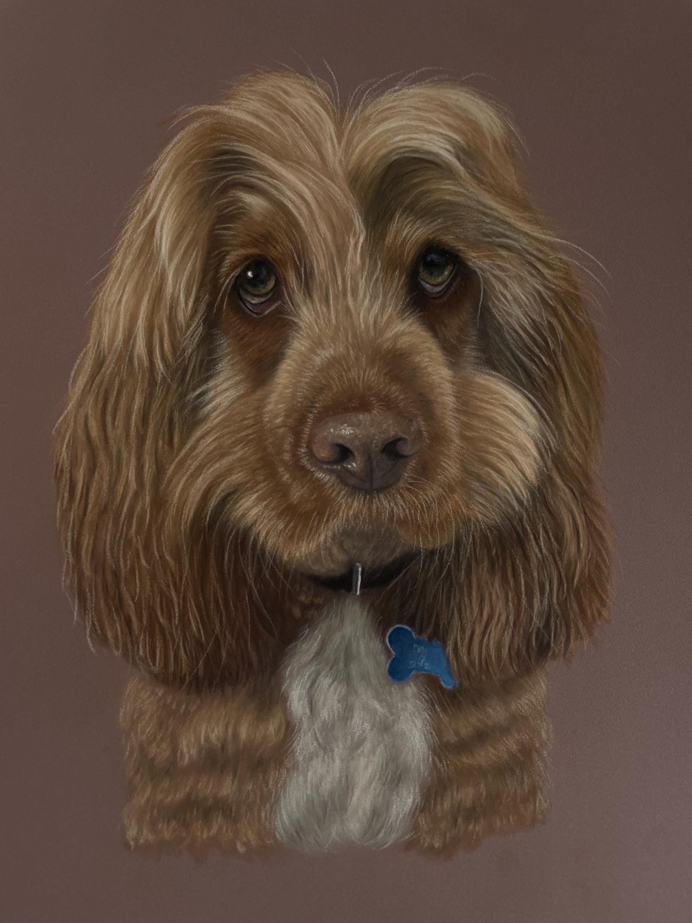 Custom Hand Drawn Pet Portrait | Dog Cat Memorial Gift - Etsy UK