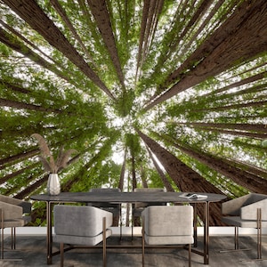 Woodland Wall Mural Green Trees Forest Landscape Wallpaper Photomural Peel and Stick Trees Bottom View Print Art Self Adhesive Mural Bedroom