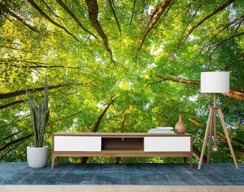 Green Trees Wallpaper Trees Wall Mural Forest Landscape Etsy