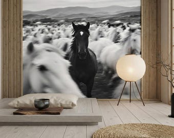 Black Horse and White Horses Wallpaper, Wild Horse Herd Mural, Black and White Farmhouse Wall Decor, Peel and Stick Non Woven Wallpaper