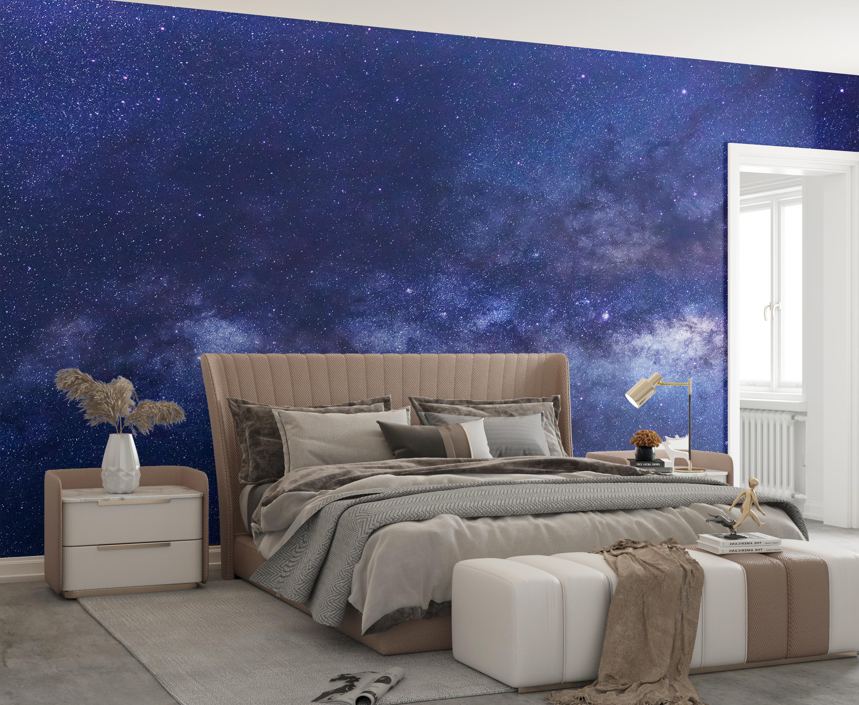 Starry Sky Mural Night Sky Wallpaper Space Peel and Stick Celestial ...