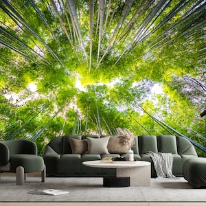 Bamboo Forest Wall Mural Nature Landscape Print Wallpaper Photomural Peel and Stick Self Adhesive Bamboo Bottom View Greenery Nature Art