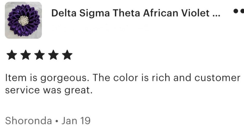 Delta Sigma Theta African Violet Satin Brooch immagine 9