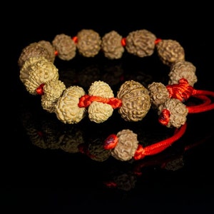Indonesian Rudraksha Siddha Bracelet - 2 to 14 Face Rudraksh + Gauri Shankar & Ganesh, Powerful - Rare Collector Unique Bracelet