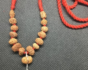 1 to 14 Mukhi + Ganesh and Gauri Shanakar All Indonesian Siddha Mala in very small size beads In Red Thread 10 mm - 11 mm Lab Certified