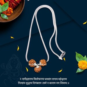 Nepalesische Rudraksha Kombination - 9,10,11 Mukhi (Gesichter) mit Silberkette, Labor zertifiziert