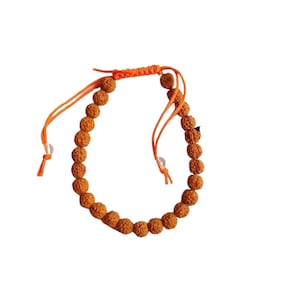 5 Mukhi Java Rudraksha Bracelet in Adjustable Thread