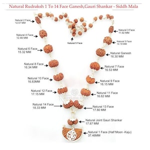 100% Natural 1 to 14 Mukhi Indonesian Rudraksha Beads Mala in Pure Silver