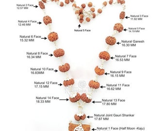 100% Natural 1 to 14 Mukhi Indonesian Rudraksha Beads Mala in Pure Silver