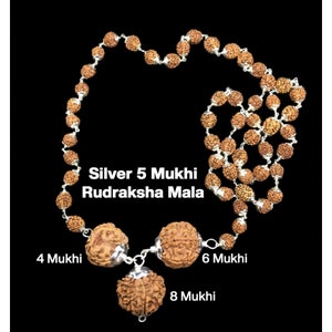 Rudraksha Combination for Advocates 4,6,8 Mukhi, All Nepal Rudraksha are certified combination in Silver Pendant with 5 Mukhi Silver Mala