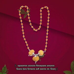 Nepalesische Rudraksha Kombination - 4,9,12 Mukhi (Gesichter) mit Rudraksha Mala, Lab zertifiziert