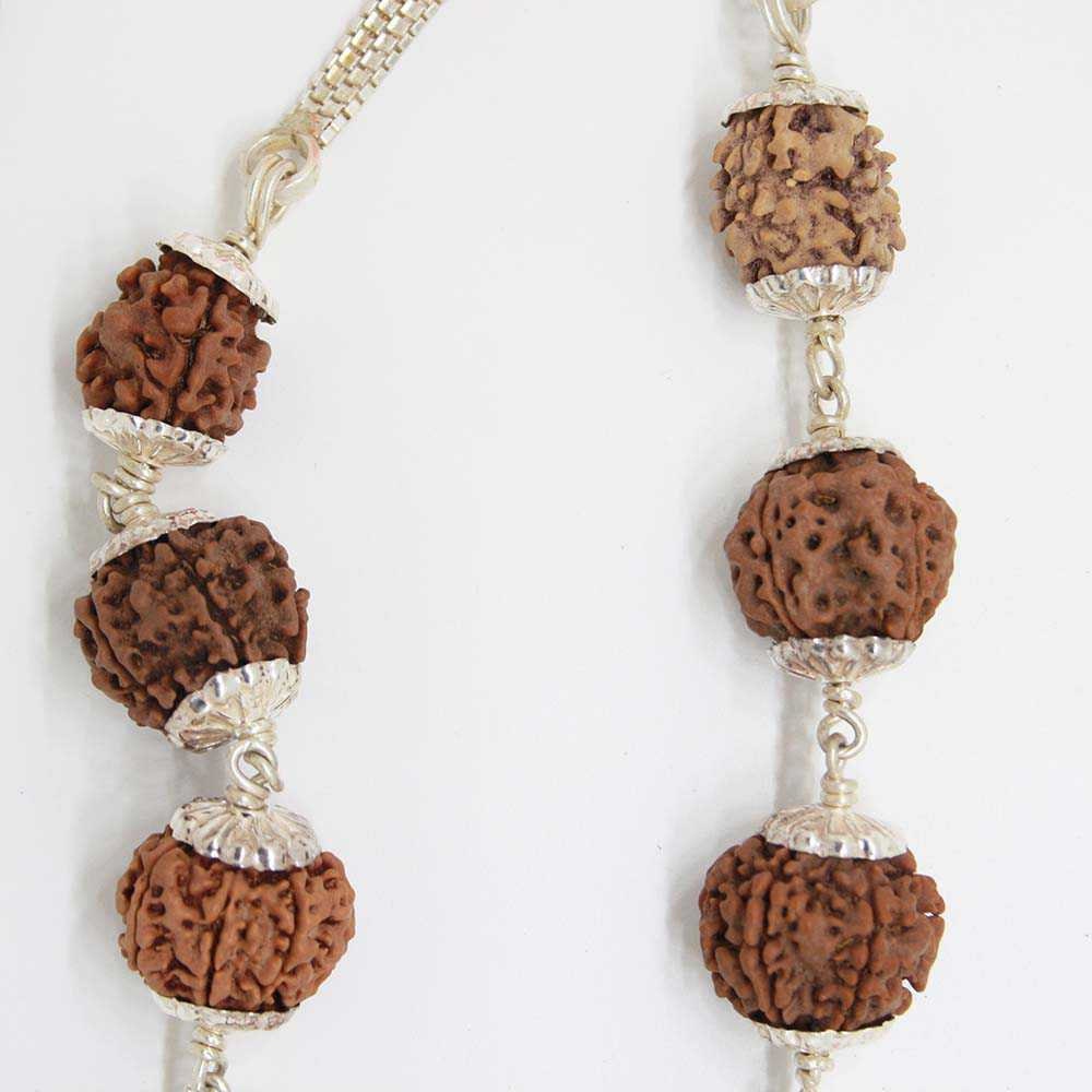 Rudraksha Perlen Anhänger - Natürliche Heilperlen 1-13 Mukhi