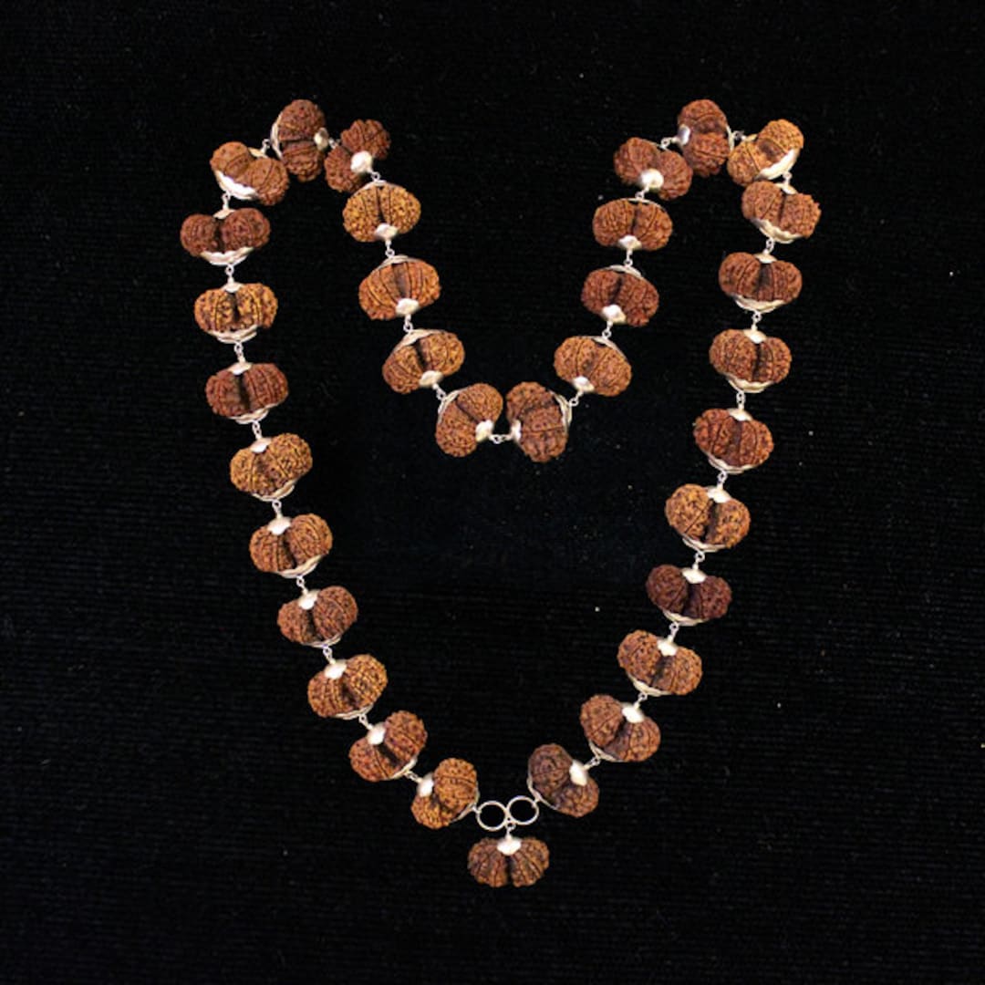 Nepali Gauri Shankar Rudraksha Kantha Mala 33 Beads, Natural Gauri ...