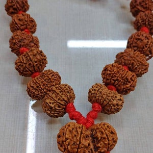 Natural 1 to 14 Mukhi Siddha Mala, Hand Made Rudraksha Beads Mala, Sacred Religious Rudraksha Chain