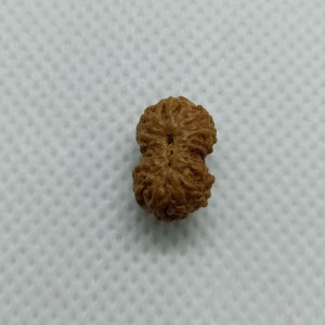 Op de afbeelding: Een bruine, dubbelzijdige, ronde houten kraal met een getextureerd oppervlak.