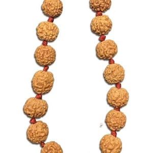 Op de afbeelding: Een bruine mala-armband met 18 kralen en een rood koord. De kralen zijn rond en hebben een getextureerd oppervlak.