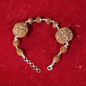 Shree Vidya- Combination for 4 and 6 Mukhi Nepali Rudraksha Bracelet In Pure Silver for Spiritual Daily Usage