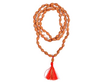 2 Mukhi Rudraksha Moon Mala 108 Beads In 9 mm- 10 mm Lab Certified, 46 Inch approx Mala Length