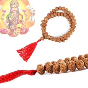 7 Face (Mukhi)  Rudraksha Mala 7 to 8 mm 54+1 Beads