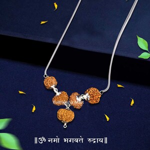 Nepalesische Rudraksha Kombination - 7, 9, 11, 13 Mukhi mit Silberkette, Labor zertifiziert