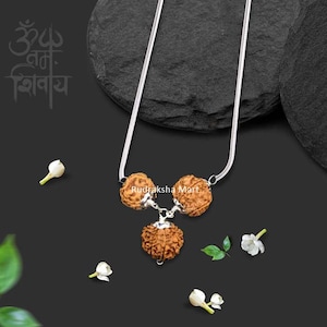 Rudraksha - 3, 7, 12 Mukhi (Gesichter) Alle Nepal Rudraksha Kombination in Silberanhänger mit Kette, Lab zertifiziert