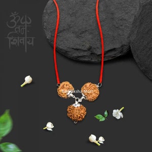 Rudraksha - 3, 7, 12 Mukhi (Gesichter) Alle Nepal Rudraksha Kombination in Silberanhänger mit rotem Faden, Labor zertifiziert