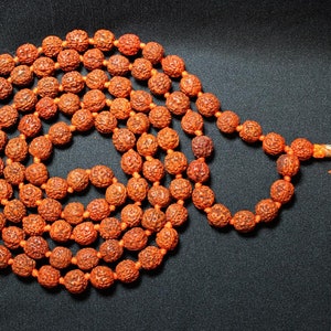 May include: A long strand of brown and orange prayer beads with a tassel on one end.