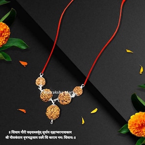 Navagraha Shanti 3,5,10,11,12 Mukhi (Gesichter) Alle Nepal Rudraksha Kombination in Silberanhänger mit rotem Faden, Alle Rudraksha sind zertifiziert