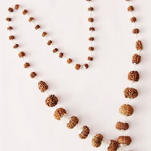 Premium Quality 1 to 14 Face (Mukhi) Indonesian Rudraksha Beads Mala in Pure Silver, Hand Made Mala, Sacred Religious Rudraksha Siddha Mala