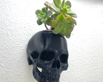 Skull Planter