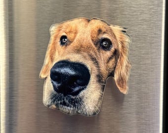 Custom Pet Magnet Custom Photo Magnet Personalized Dog Magnet Cat Magnet Custom Dog Magnet Pet Portrait Magnet Acrylic Keychain Pet Gift
