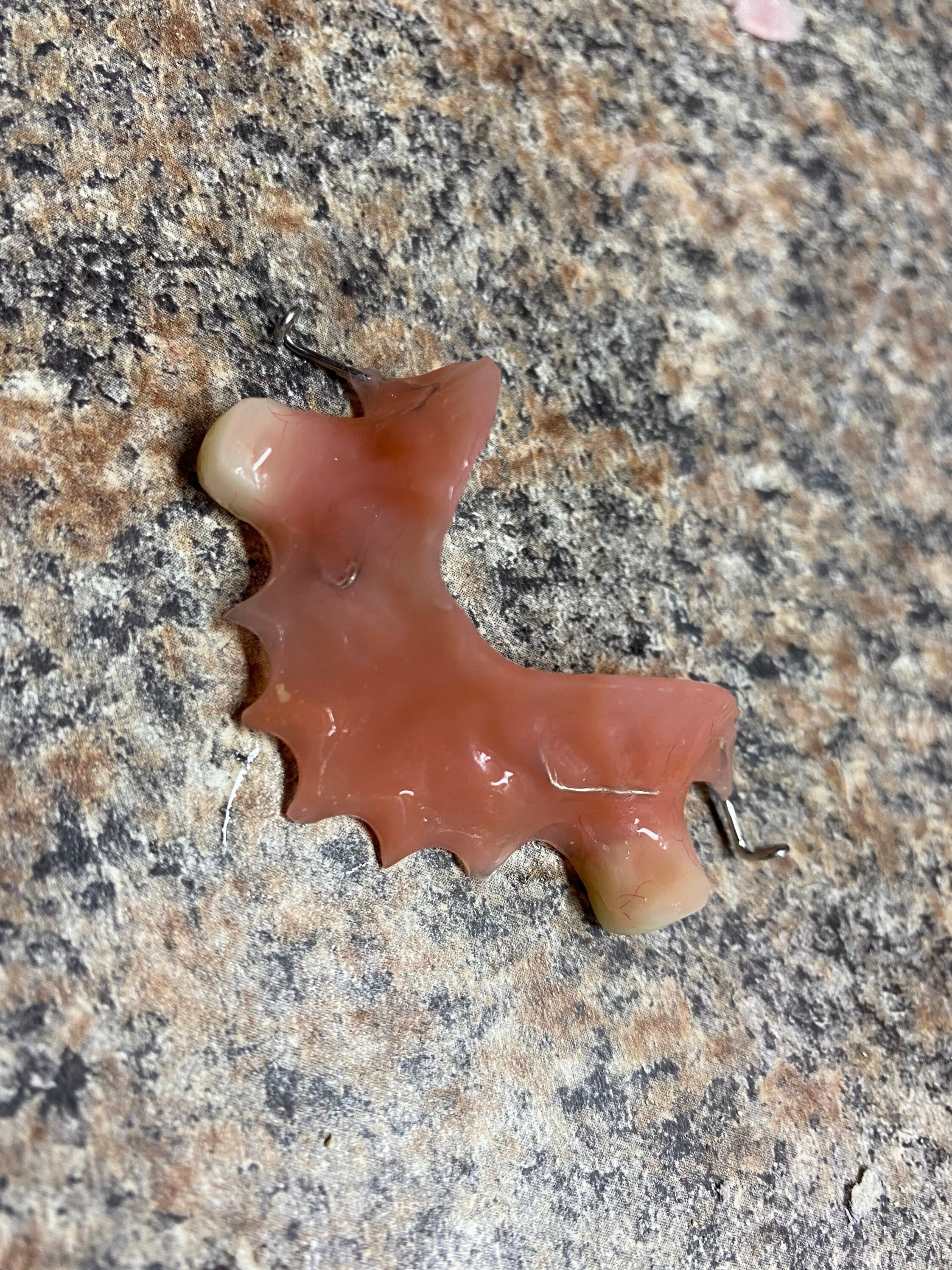 2 tooth flipper with impressions kit Etsy