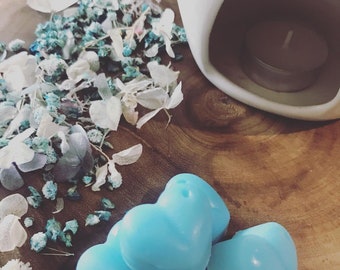 soy wax melts / Sea Spray Wax Melts / soy wax / eco friendly / hand poured / scented wax melts / vegan