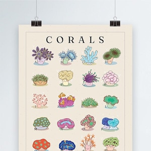 Saltwater Coral Species Poster | Types of Corals Species Print | Coral Reef Frag | Aquarium Coral | Cute Coral Collector Gift