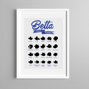 May include: Framed print with a blue and white design, displaying "Betta TAIL TYPES." The print shows silhouettes of Betta fish tail types, such as Spade Tail, Veil Tail, and Double Halfmoon. The print is in a white frame, suitable for home decor.