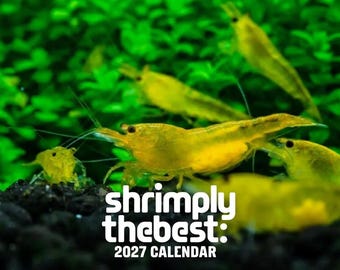 Shrimply the Best 2027 Calendar - Perfect Gift for Caridina & Neocaridina Shrimp Lovers - Cute Monthly Shrimp Wall Desk Calendar