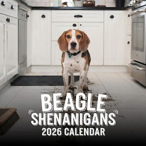 Calendario Beagle Shenanigans 2026 - Calendario de 12 meses para colgar en la pared o en el escritorio - Regalos perfectos para amantes de los perros y dueños de mascotas