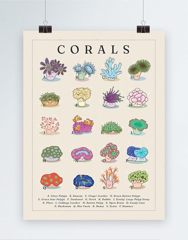 Saltwater Coral Species Poster | Types of Corals Species Print