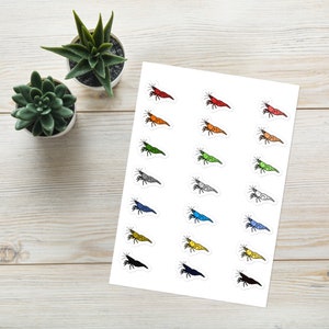 Cherry Shrimp Sticker sheet - Freshwater Dwarf Shrimp - Neocaridina Shrimp - Caridina Shrimp