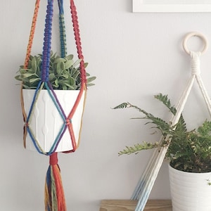 Op de afbeelding: Een regenboog macramé plantenhanger met een witte keramische pot en een groene plant. De hanger is gemaakt met verschillende gekleurde koorden en heeft een kwast aan de onderkant.