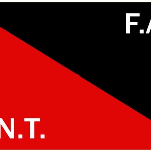 CNT FAI Anarchy Spain Trade Unionist 5'x3' Flag