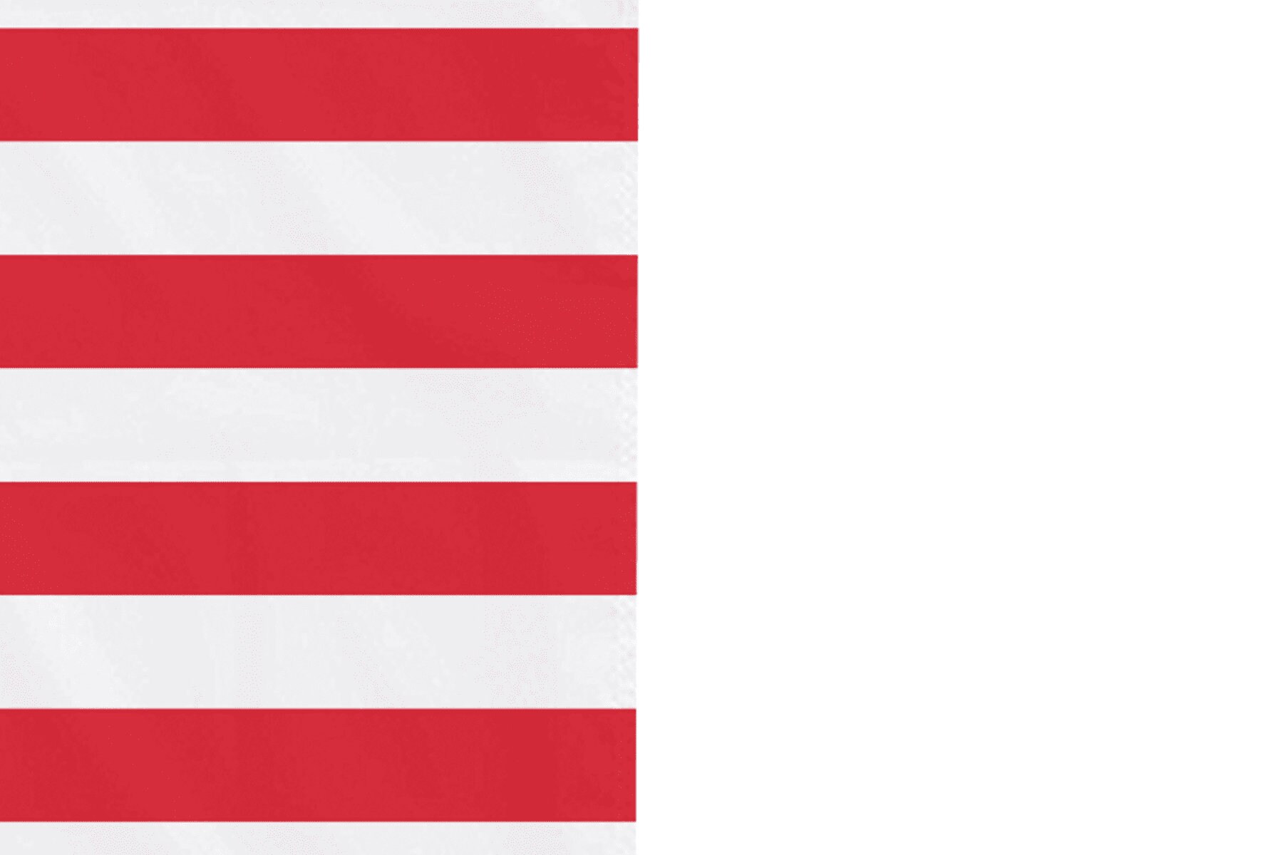 bandera nacional 3*5ft 90*150cm Bandera 100% poliéster Banner con 2