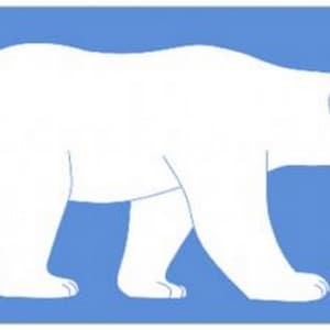 Climate Change Polar Bear 5'x3' Flag