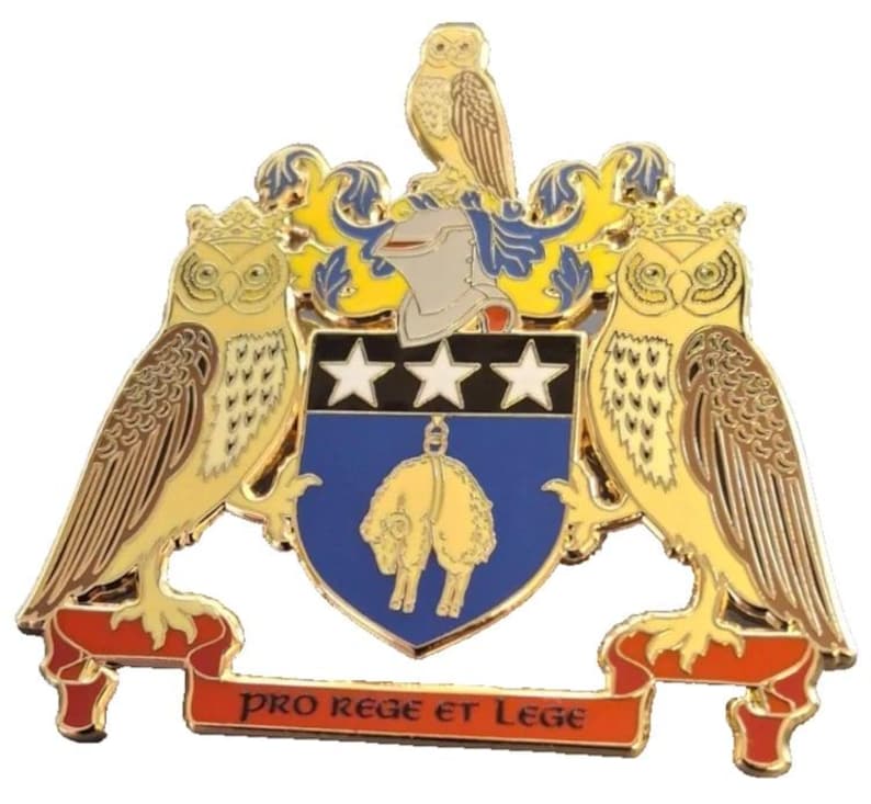 British City Coat of Arms Large Pin Badge - Multiple Designs ...