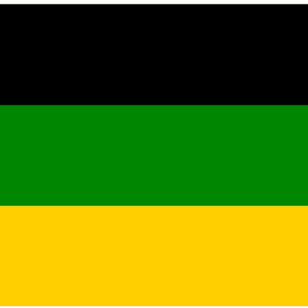 African National Congress ANC 5'x3' Flag