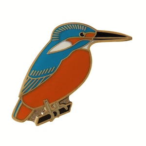 Czech Republic Kingfisher National Bird Pin Badge image 1